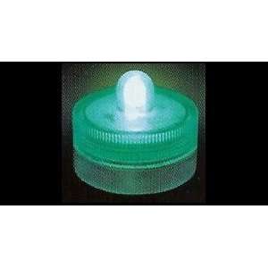  Box of 10 Acolyte Submersible Floralyte Green: Home 