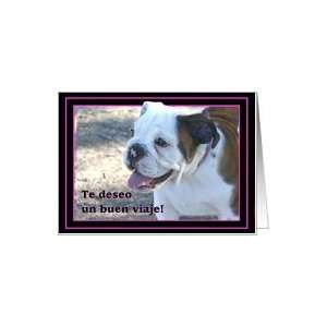  Te deseo un Buen Viaje Bon Voyage Bulldog Puppy Card 