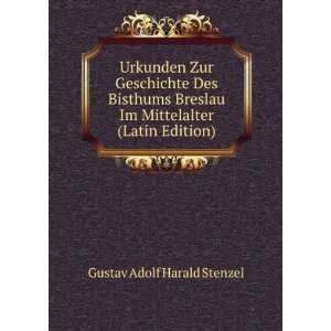   Im Mittelalter (Latin Edition) Gustav Adolf Harald Stenzel Books