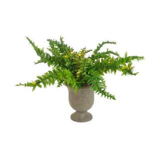 Bethlehem Lights Battery Operated Fern Plant in Distressed Decorative 