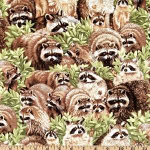  44 Wide Backyard Bandits Raccoons Green Fabric By The 