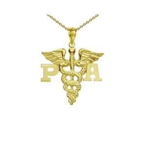  NursingPin   Physician Assistant PA Charm and Necklace in 