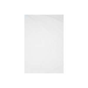  10x24 White Muslin Sheet Background