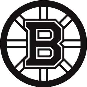  Boston Bruins NHL Vinyl Decal Stickers / 12 X 12 