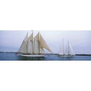  Sailboats in the Sea, Narragansett Bay, Newport, Newport 