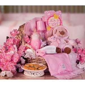  Girl Bundles Of Joy Baby Gift Basket Toys & Games