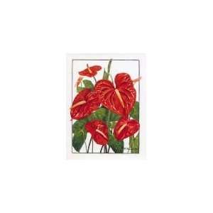   Red Anthurium   Artist Tsutomu Tomita   6 Pack: Health & Personal Care