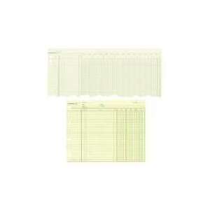 Credit 10 Column Balance Sheets, 4 Hole, 9 1/4 x 11 7/8, 100 Sheets 