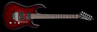 Rich ASM Standard Electric Guitar Mahogany Transparent Black 