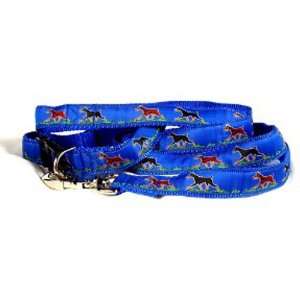  Doberman Pinscher   Blue Collar and Lead Set: Pet Supplies