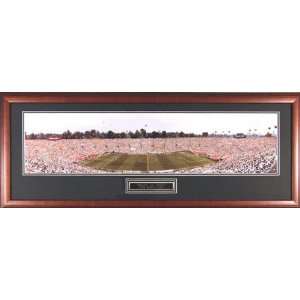 Brazil vs Italy 1994 World Cup Soccer at the Rose Bowl Framed Unsigned 