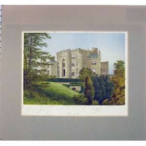  : 1870 Antique Print View Birr Castle Ireland Garden: Home & Kitchen