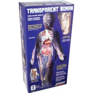  Lindberg Transparent Woman figure model kit: Toys & Games