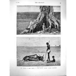  1877 Famine India Bellary District Madras Presidency