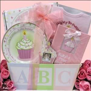    Babys First Birthday ~ Girl Baby Birthday Gift Basket Baby