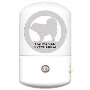  Caucasian Mountain Dog LED Night Light