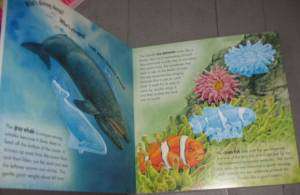 Swim in the Ocean Silver Dolphin Sea Life Book 4+ NEW  