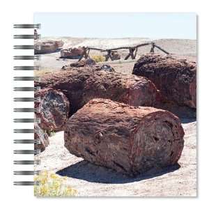  ECOeverywhere Petrified Forest National Park Picture Photo 