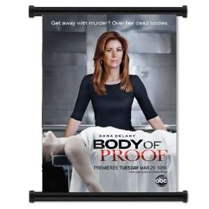  Body of Proof TV Show Fabric Wall Scroll Poster (16x21 