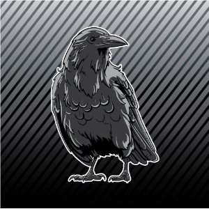  Crow Raven Black Bird Car Trucks Sticker Decal: Everything 