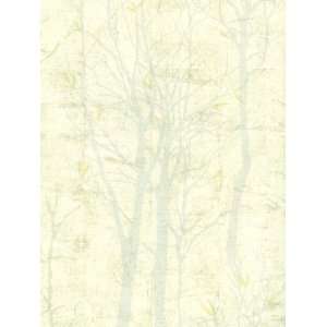  Wallpaper Seabrook Wallcovering Mimosa KY50604