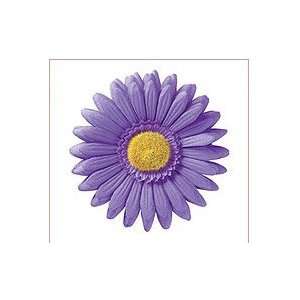  Magnet   Purple Daisy