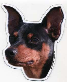 Miniature Pinscher Dog Head Car Magnet  