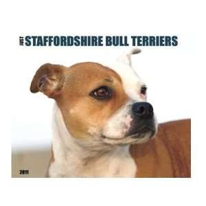 Just Staffordshire Bull Terriers 2011 Wall Calendar By Willow Creek 