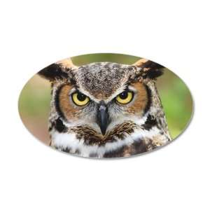    22x14 Oval Wall Vinyl Sticker Great Horned Owl: Everything Else