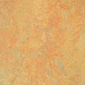   Sheet Neutral Color Sunny Day Vinyl Flooring: Home Improvement