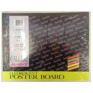   Stuart Hall Fluorescent Poster Board (2 Packs of 5 Sheets) Office
