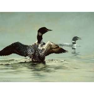  Guy Coheleach   Jewels of the Lake   Common Loon