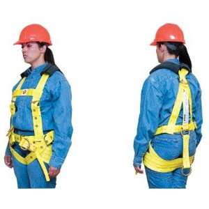  SEPTLS418181119   Fall Arrest Harnesses