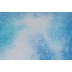  28 Ct. Sky Linen for Bluebird Trail 24x27: Everything Else