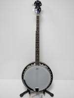 Dean Backwoods 3 Five 5 String Banjo Gloss Natural BW3  