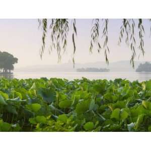 China, Zhejiang Province, Hangzhou, Lotus and Pavilion in West Lake 