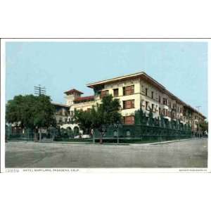    Reprint Pasadena CA   Hotel Maryland 1900 1909: Home & Kitchen