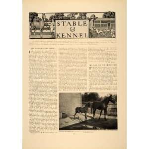   Dog Tamblin Pitkin Country   Original Print Article: Home & Kitchen