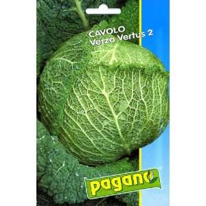  Pagano 1669 Cabbage (Cavolo) Seed Packet Patio, Lawn 
