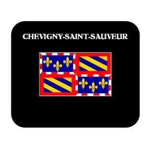  Bourgogne (France Region)   CHEVIGNY SAINT SAUVEUR Mouse 