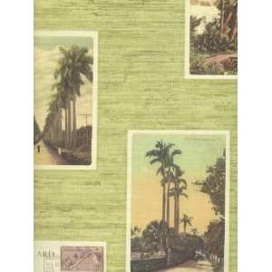  Wallpaper Echo Home a Collectors Home tropical Postcards 