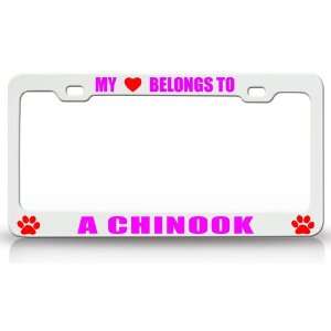 MY HEART BELONGS TO A CHINOOK Dog Pet Steel Metal Auto License Plate 
