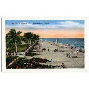  Reprint Bathing at Lummus Park, Miami Beach, Florida