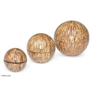   and coconut shell jewelry boxes, Coconut Core Home & Kitchen