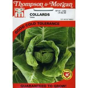  Thompson & Morgan 721 Collards Vates Seed Packet Patio 
