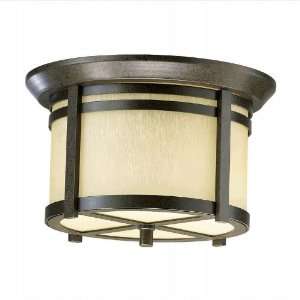  Silo Oiled Bronze Outdoor Ceiling Light: Home Improvement