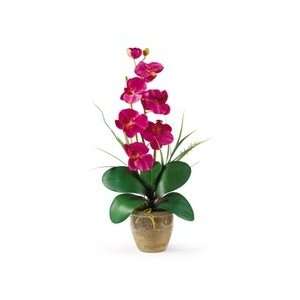   Phalaenopsis Orchid Silk Flower Arrangement: Arts, Crafts & Sewing