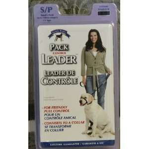  Yupppie Puppy Pack Control Leader Small Petit Black Up to 