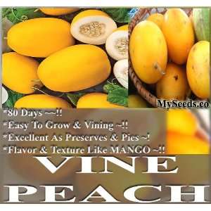 1,000 VINE PEACH Melons Seeds ~~TASTE JUST LIKE MANGO & GREAT FOR 
