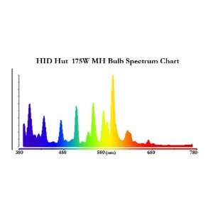  Full Spectrum 175W Metal Halide  4000K color temp: Patio 